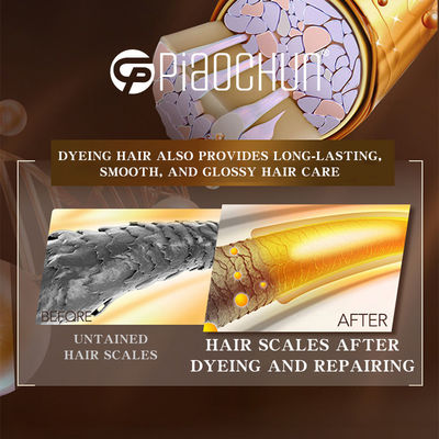 Ammonia Free Hair Color Cream For Covering White Hair Multi Stage Color 100ml